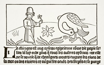 The Stork Its Own Doctor, from 